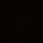 danyal_rahemi profile picture