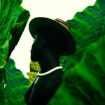 dapperlou profile picture