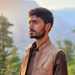 dardshins profile picture