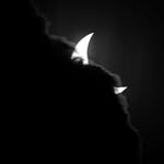 darkdevotion101 profile picture