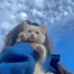 darkroohh profile picture