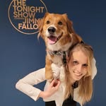 darrelthedoge profile picture