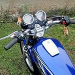 darwis135_ profile picture