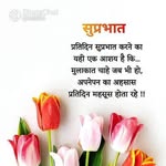 dashlal90 profile picture