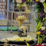 dashrat._9979 profile picture