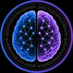 datasciencebrain profile picture