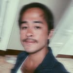 davalva profile picture
