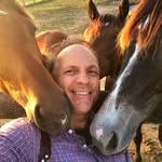 daveshafer profile picture