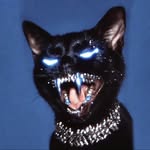 davey.bbyy profile picture