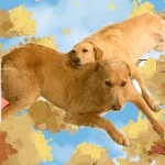 davidanderney profile picture
