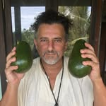 davidavocadowolfe profile picture