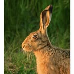 david_claydon_photography profile picture