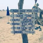 davide.cavallari profile picture