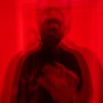 davide_dambra profile picture