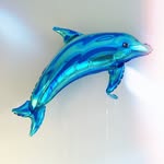 davidelfin_co profile picture