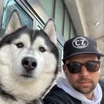 davidrekhson profile picture