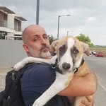 davidweitzman profile picture
