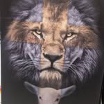 daviichoi profile picture