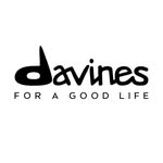 davinesiceland profile picture