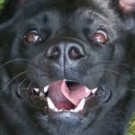 davyn0 profile picture