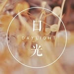 daylight.lab profile picture