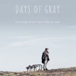 daysofgray profile picture