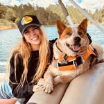 dbonell profile picture