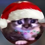 dbrokie_ profile picture
