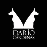 ddariocardenas profile picture