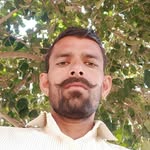 ddhanrajgodara profile picture