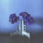 deadlavender profile picture