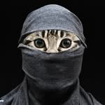 deathcultforcutie profile picture