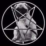 deathwish13 profile picture