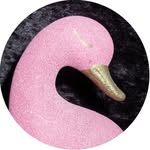 decorhardcore profile picture
