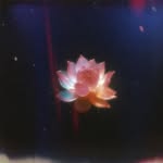 deekshagulati24 profile picture