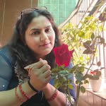 deep.s.mehra profile picture