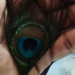 deepakangurana profile picture