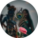 deepali_gupta20 profile picture