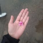 dekstakook profile picture