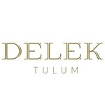 delektulum profile picture