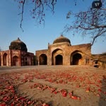 delhimerijaan profile picture