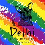 delhithestreetdog profile picture