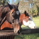 delmarfarm_ profile picture