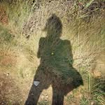 delphinehdelphineh profile picture