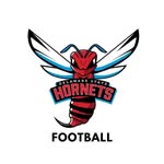 delst_football profile picture