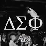 deltasigstetson profile picture