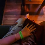 delululutales_ profile picture