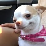demiiwhiffin profile picture