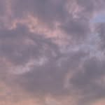 dennislaray profile picture