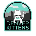 denverkittensorg profile picture